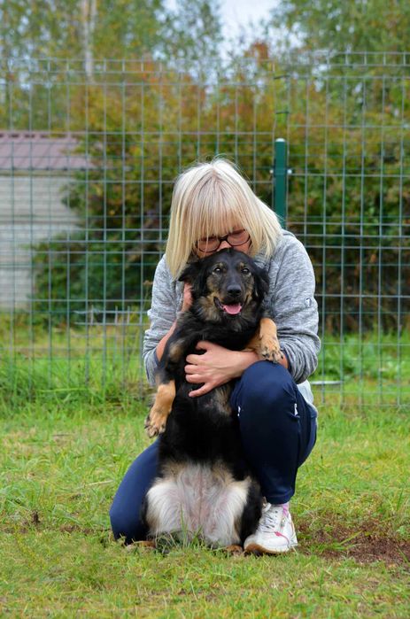 młodziutka śliczna sunia do adopcji