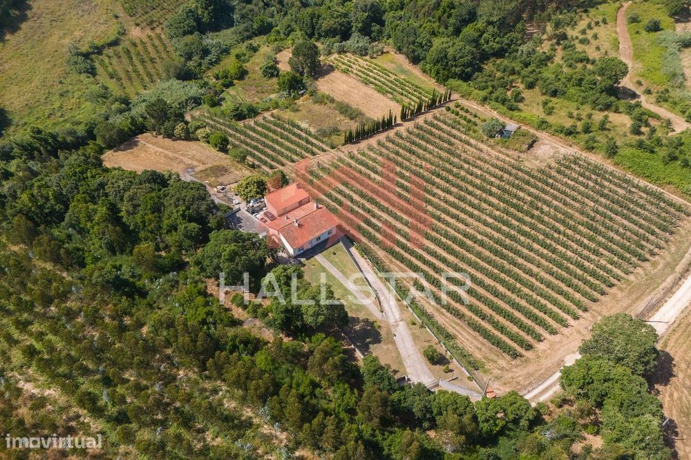 Quinta / Área Total 5.013m2 / Cela
