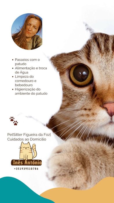 Petsitting Figueira da Foz