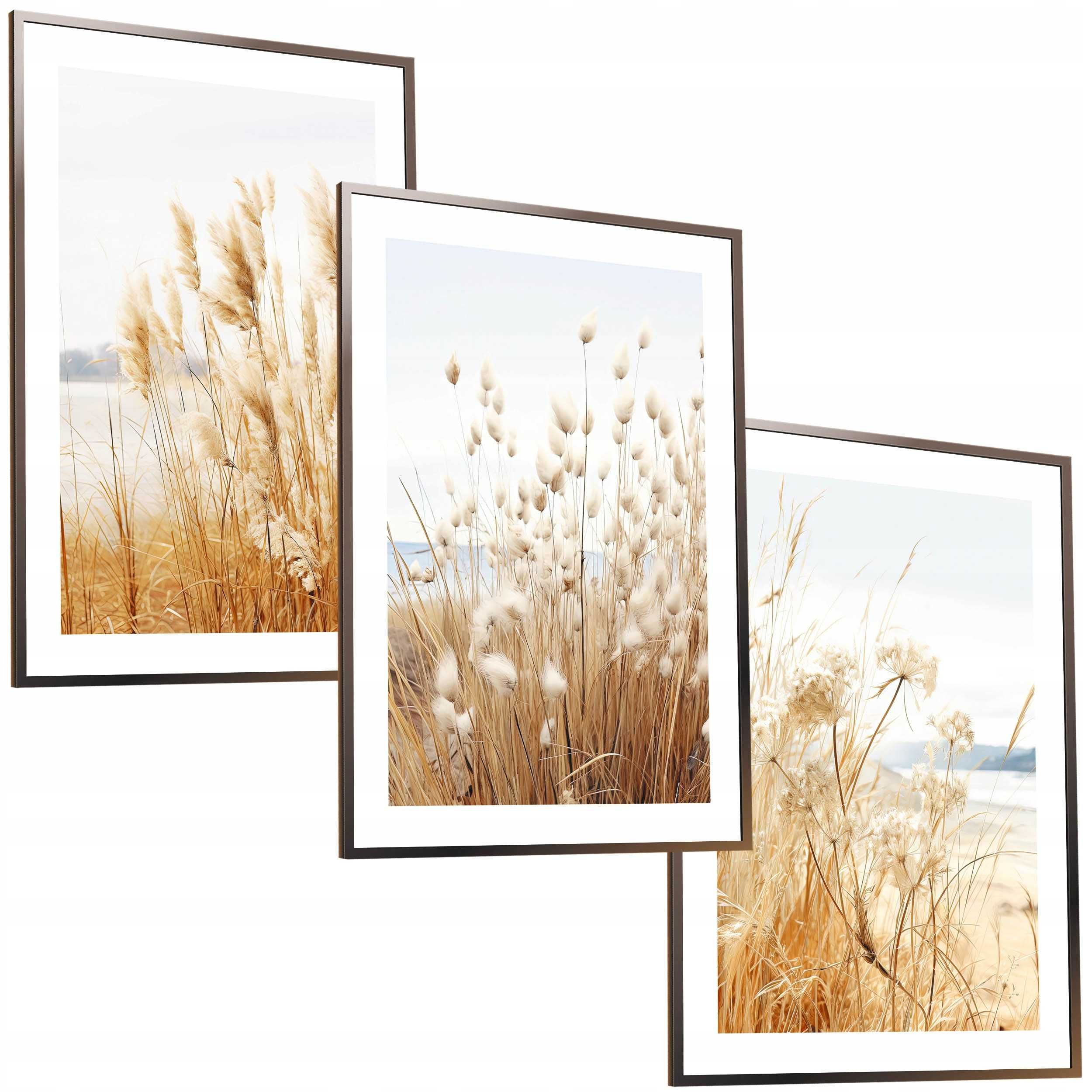 30x40 obrazy w ramie plakaty ramka PAMPAS TRAWA SALON ŁĄKA NATURA BOHO