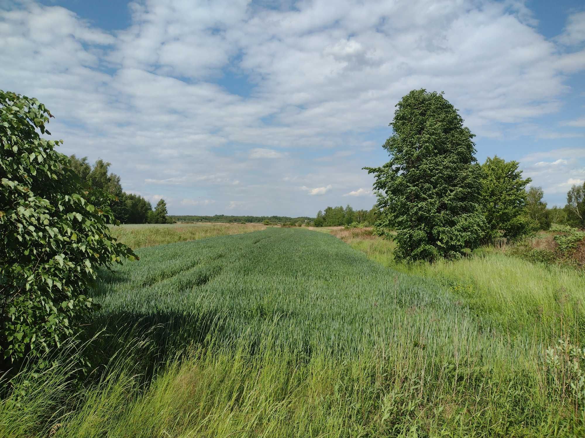 Działka rolna  1,10 ha. również dla nie rolnika. Okazja