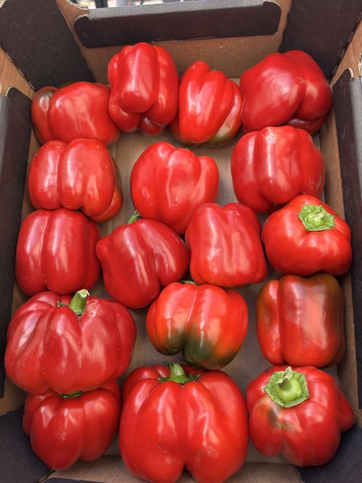 mix czerwona i zolta dwojka 12kg