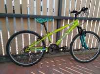 Bicicleta Berg Junior