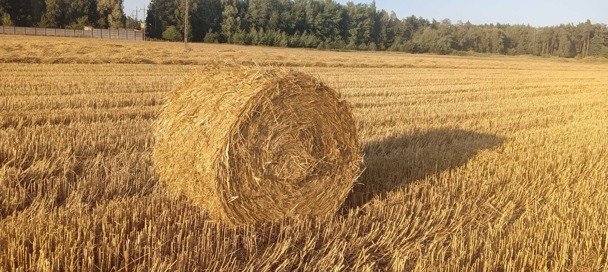Sprzedam słomę w belach