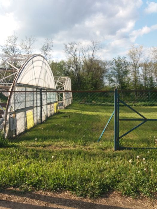 Продам  або здам в оренду участок землі з теплицями на Кресівськом