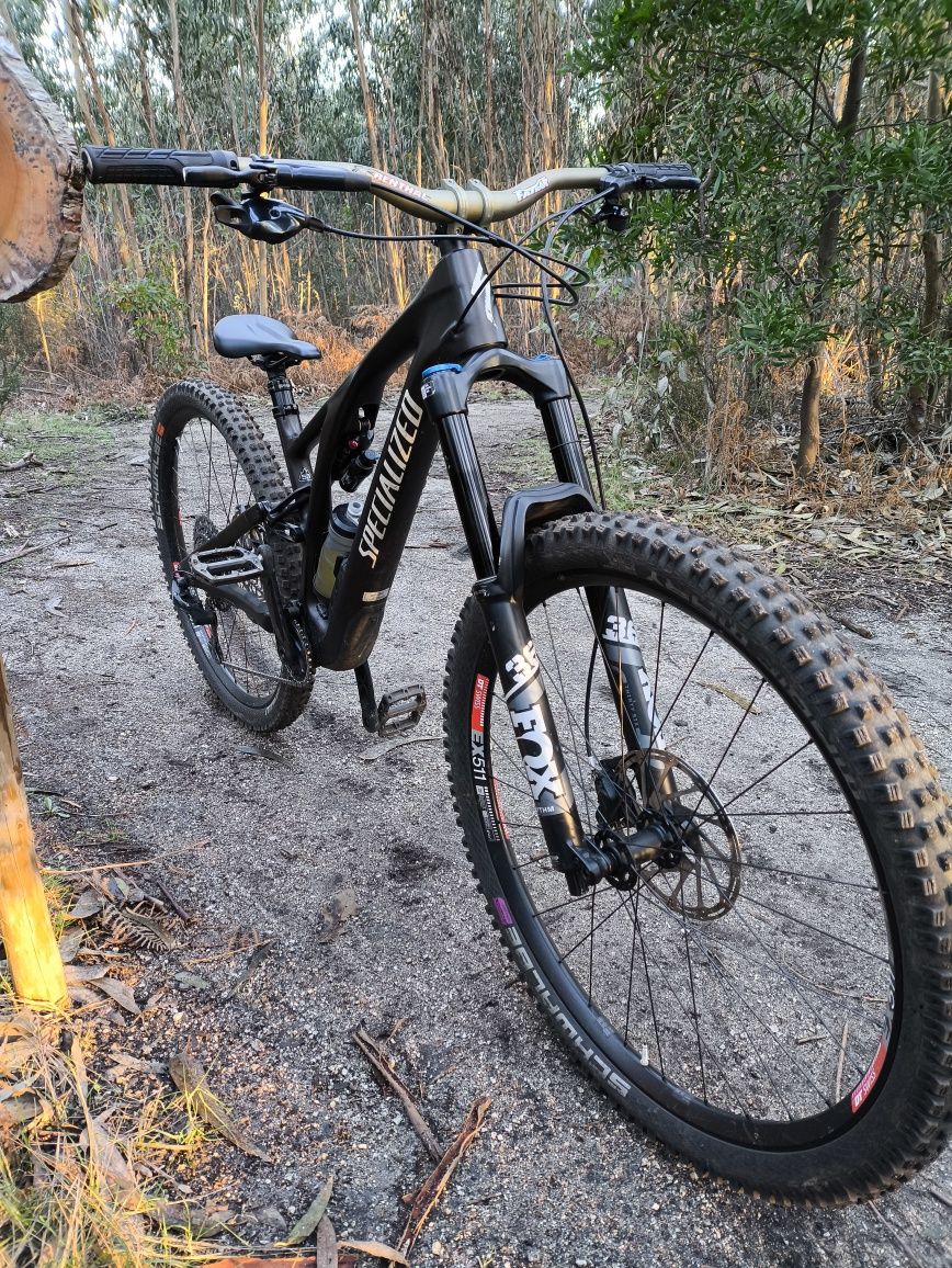 Specialized stumpjumper evo carbon