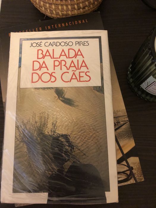 Livro - A balada da praia dos cães
