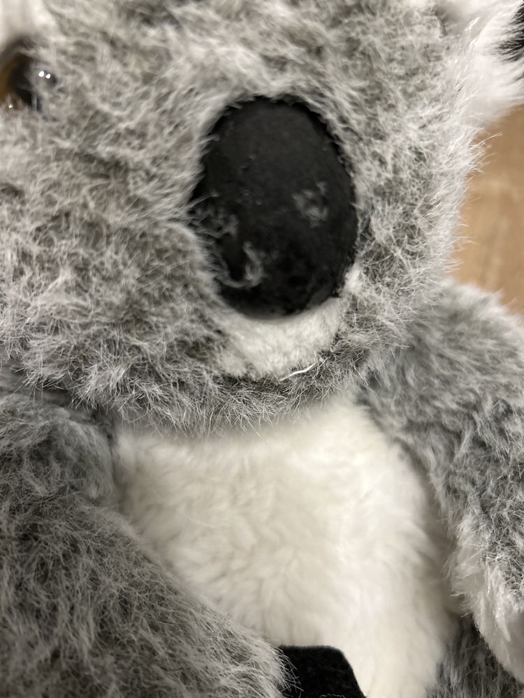 Mis koala pluszaak