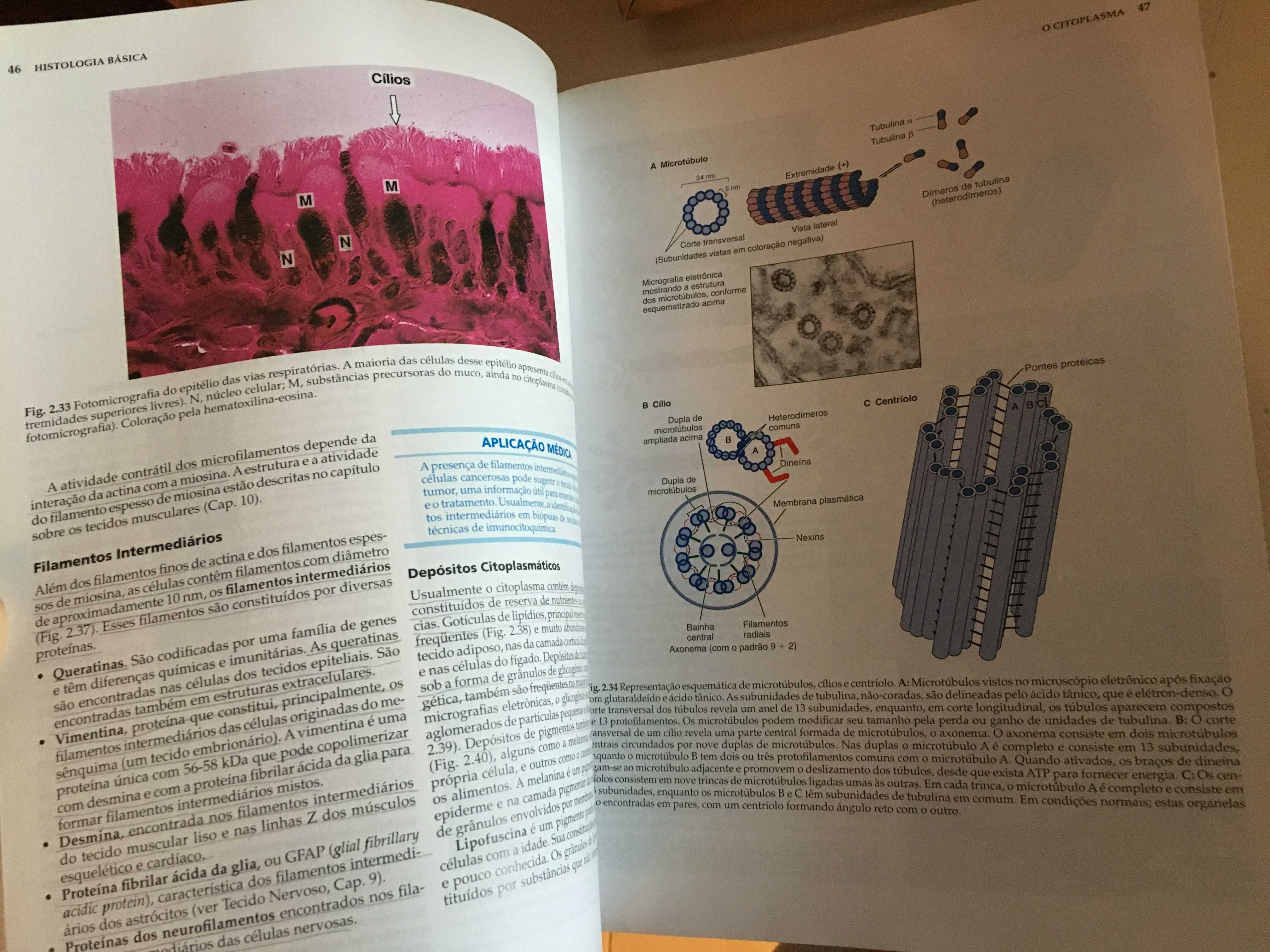 Histologia básica de Junqueira e Carneiro