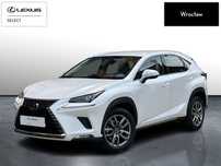 Lexus NX 300h Business Edition AWD | Skóra | 1wł. | ASO | Salon Polska
