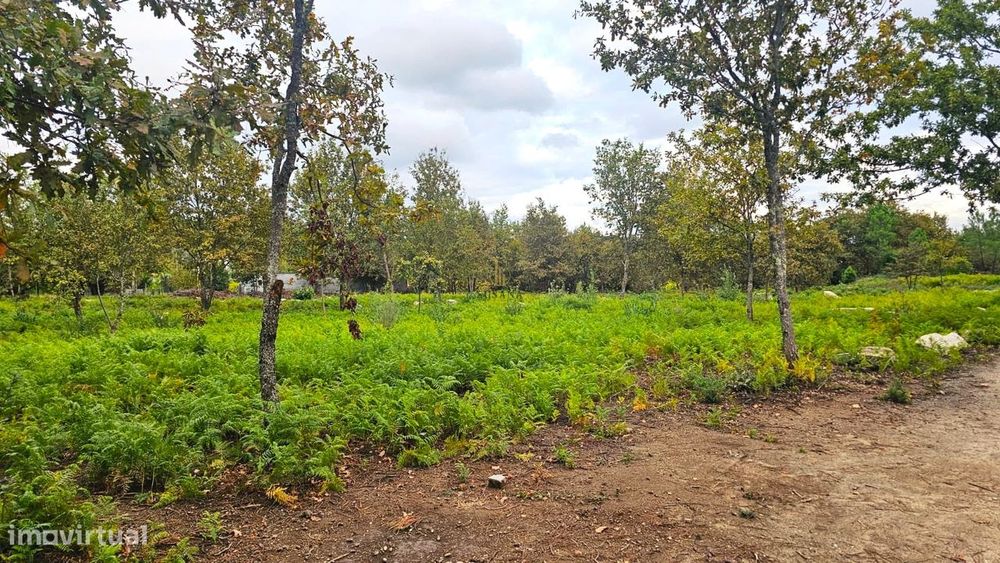 Terreno Rústico  Venda em Rio de Loba,Viseu