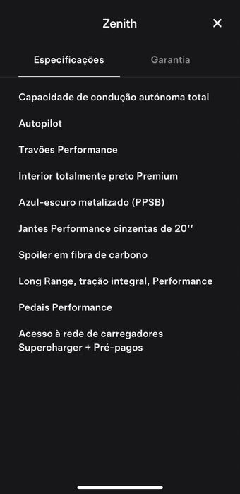 Tesla Model 3 Performance (Full extras)