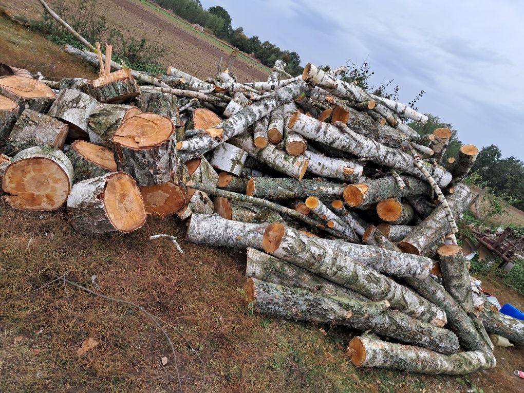 Drewno kominkowe/opałowe Dowóz do 100km