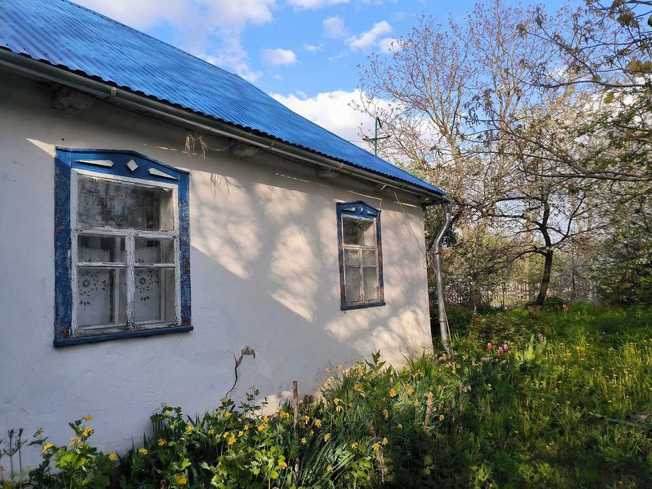 Продам будинок 40 сот.землі  Сквирський р-н с. Антонів  Київська обл.