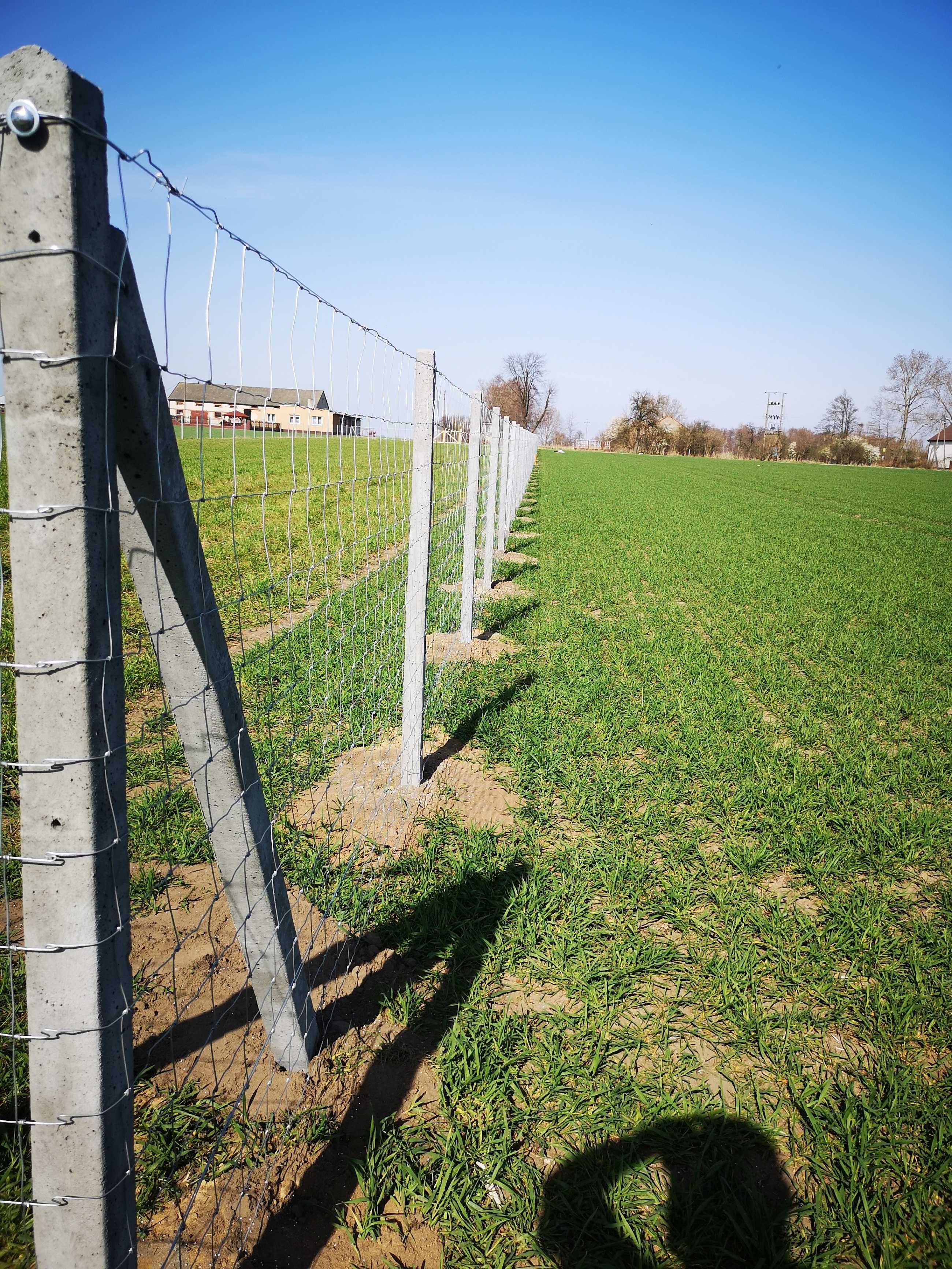 Ogrodzenie siatka leśna, słupki betonowe