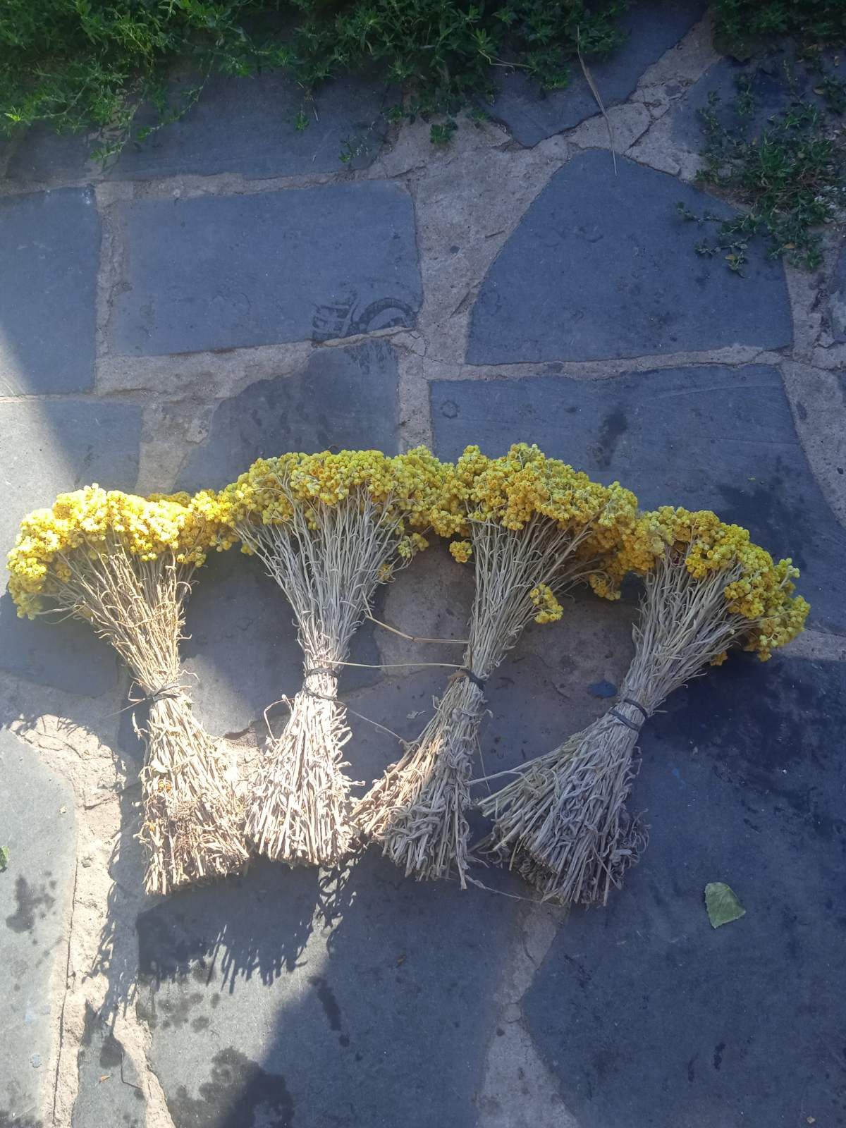 Трави для бані,сауни,віники банні,банние веники.