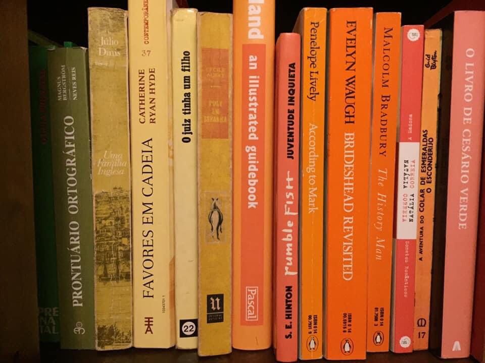 Vários livros. Literatura portuguesa.e outros