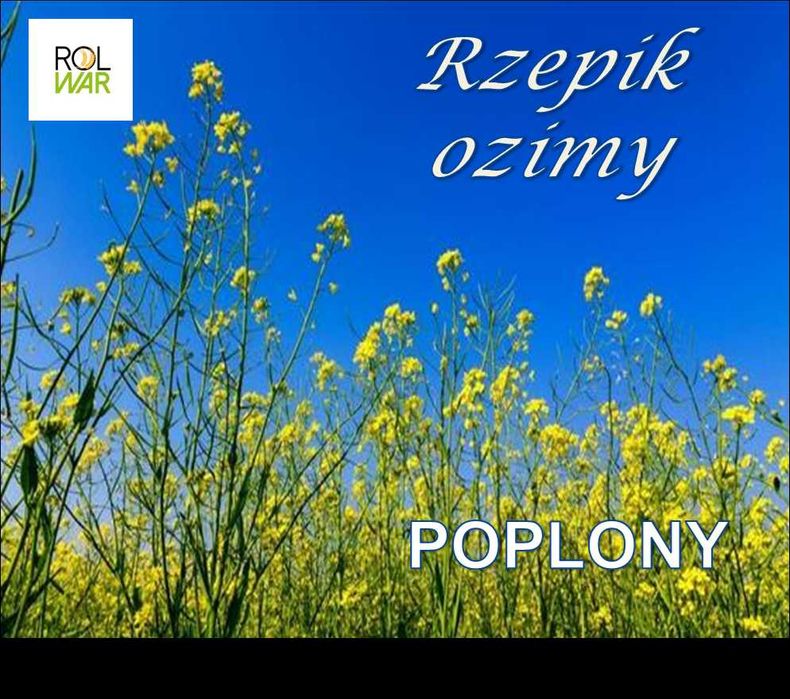 Rzepik ozimy, wyka ozima materiał paszowy