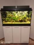 Akwarium 200l + szafka
