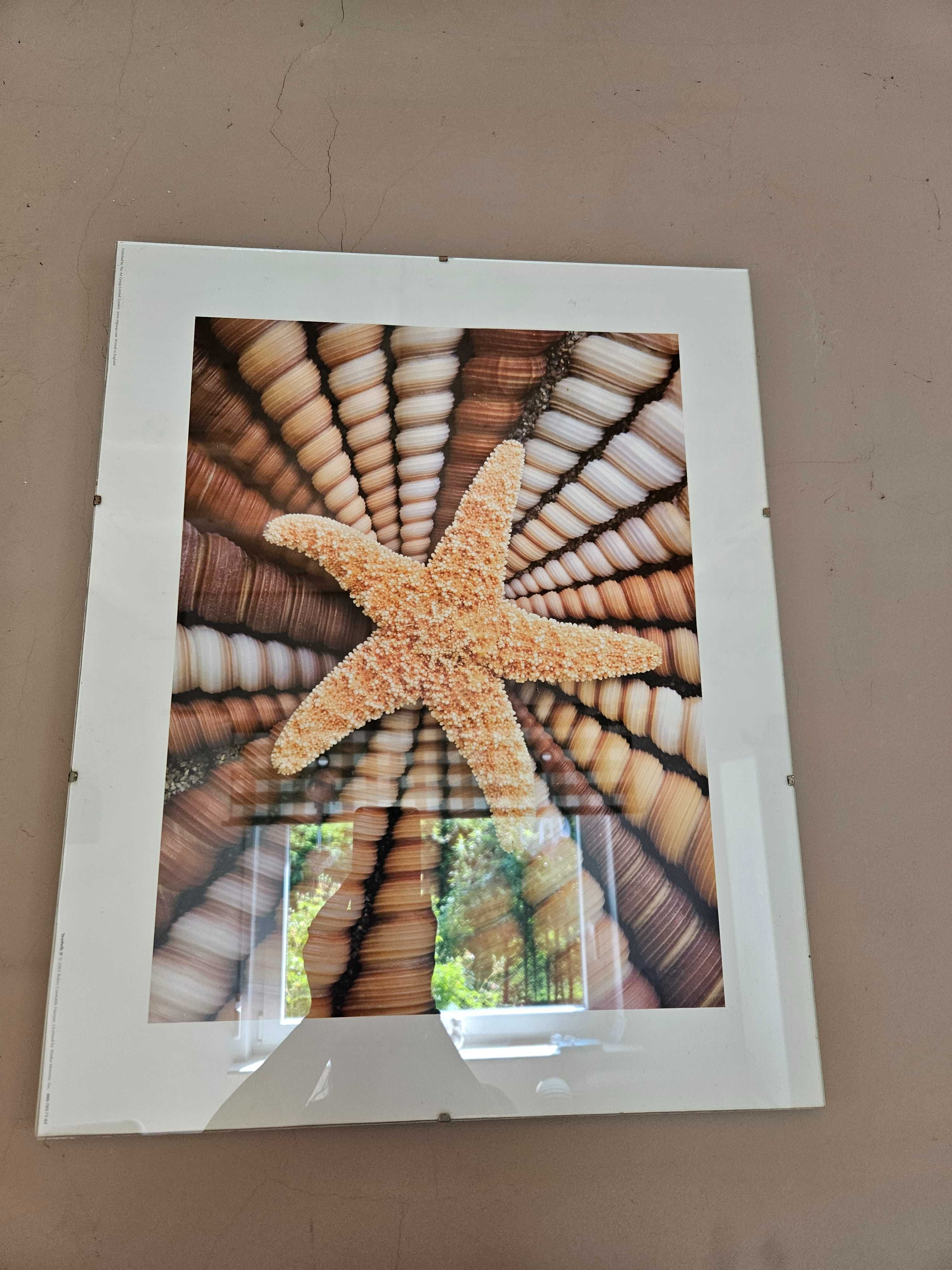 3 obrazki odbior lub wysylka