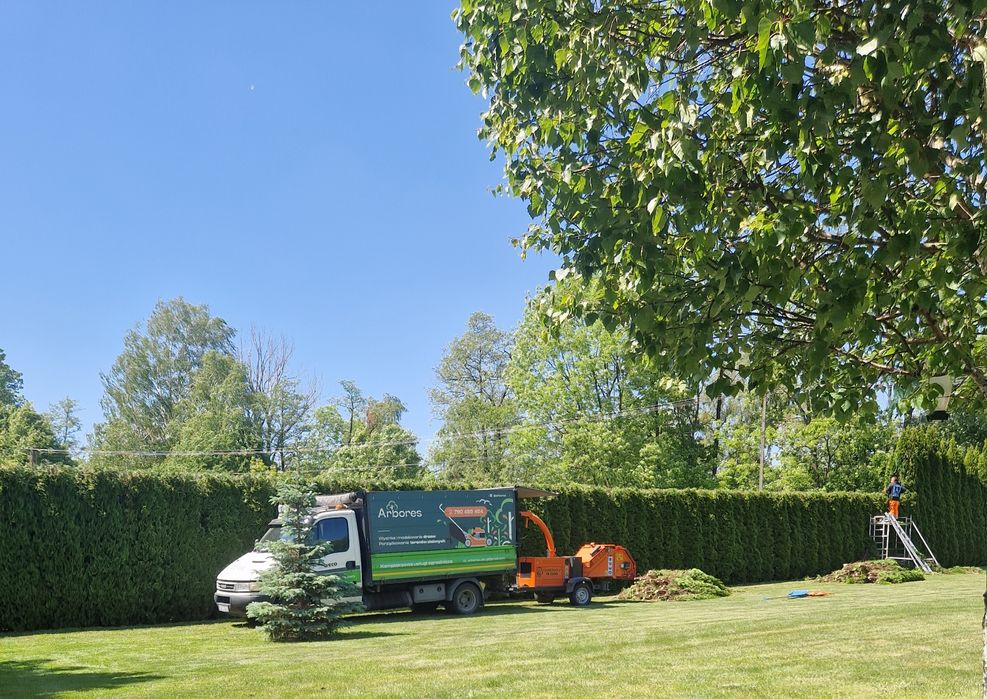 Wycinka drzew, uslugi rębakiem, wycinka tui , frezowanie pni, koszenie