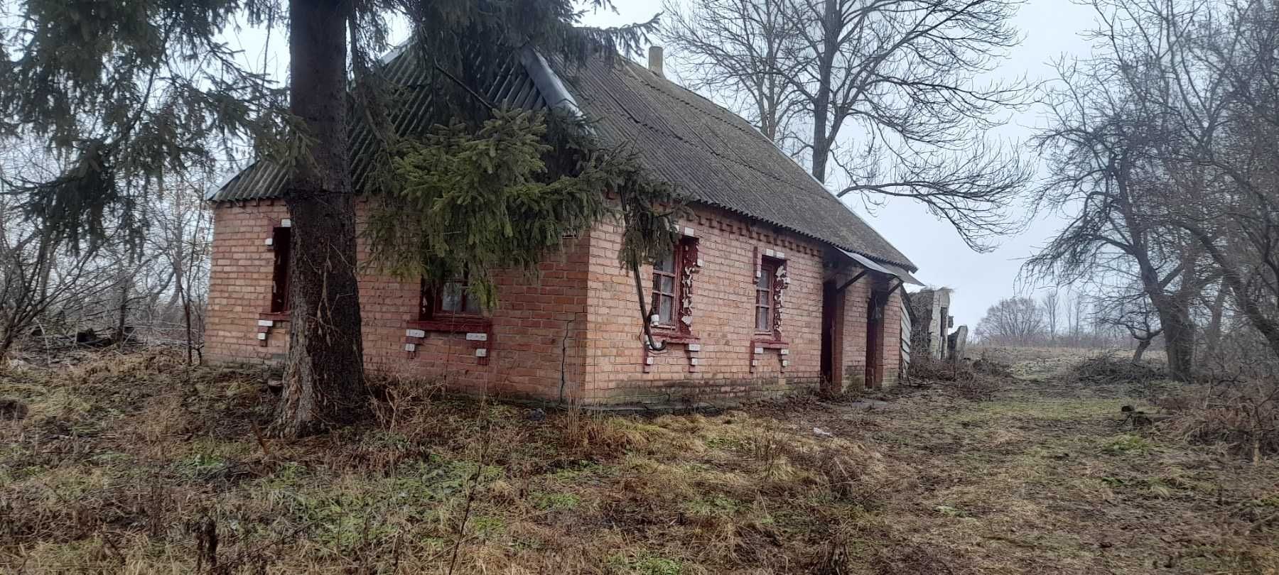 Продаж будинка Житомирська обл. Бердичівський р-н, с. Буряки