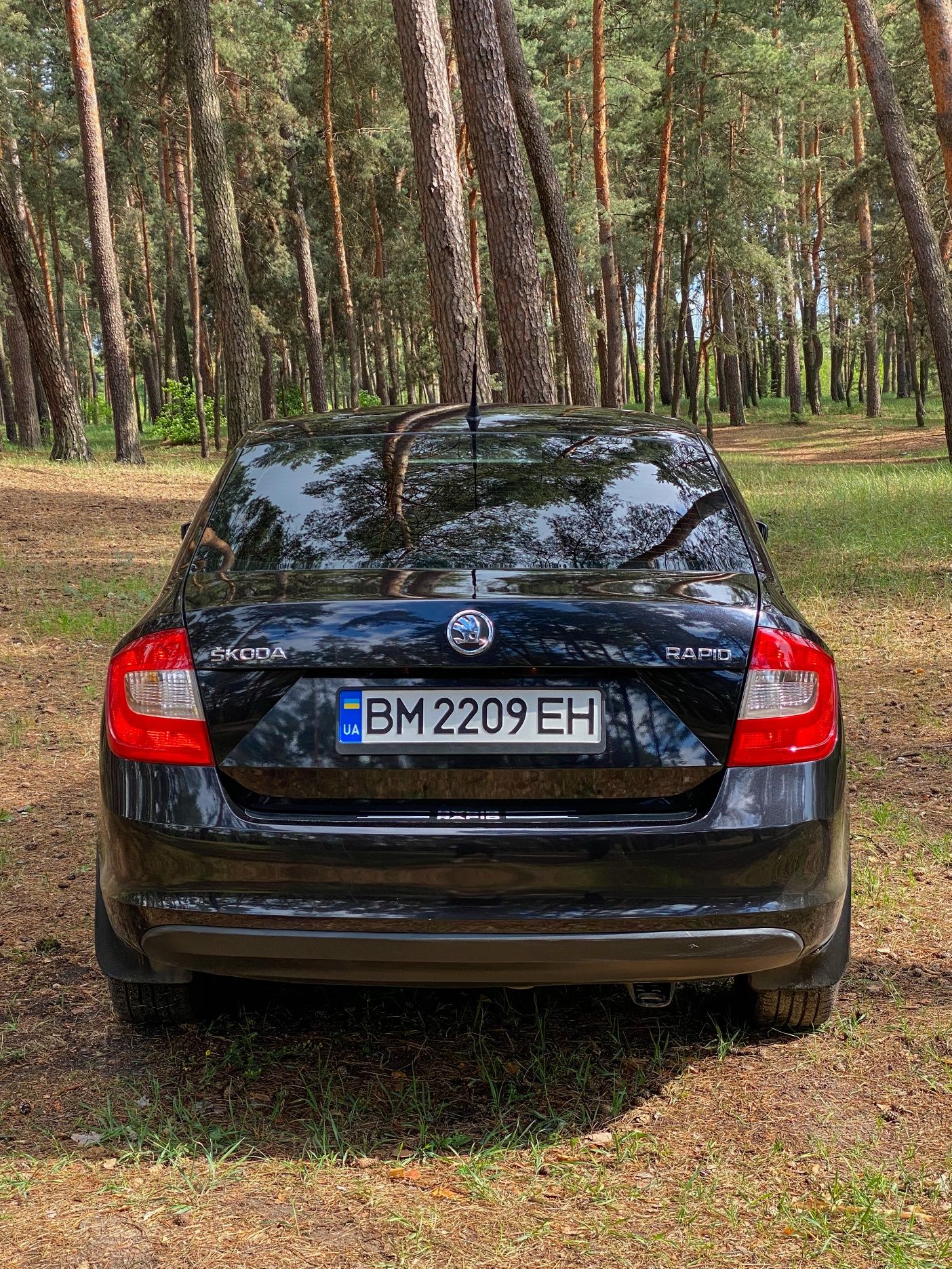 Skoda Rapid 2014