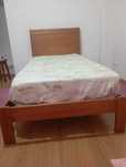 Cama + colchão de solteiro