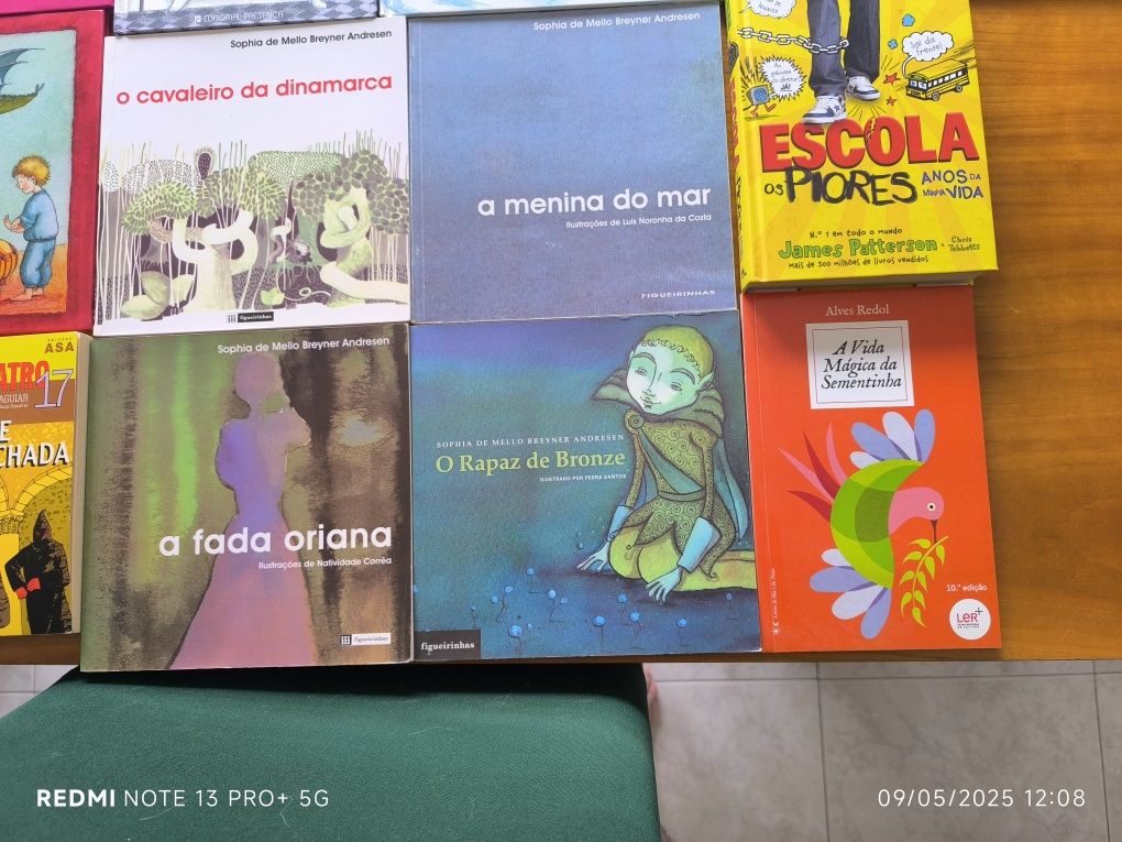 Lote de 15 livros 12€