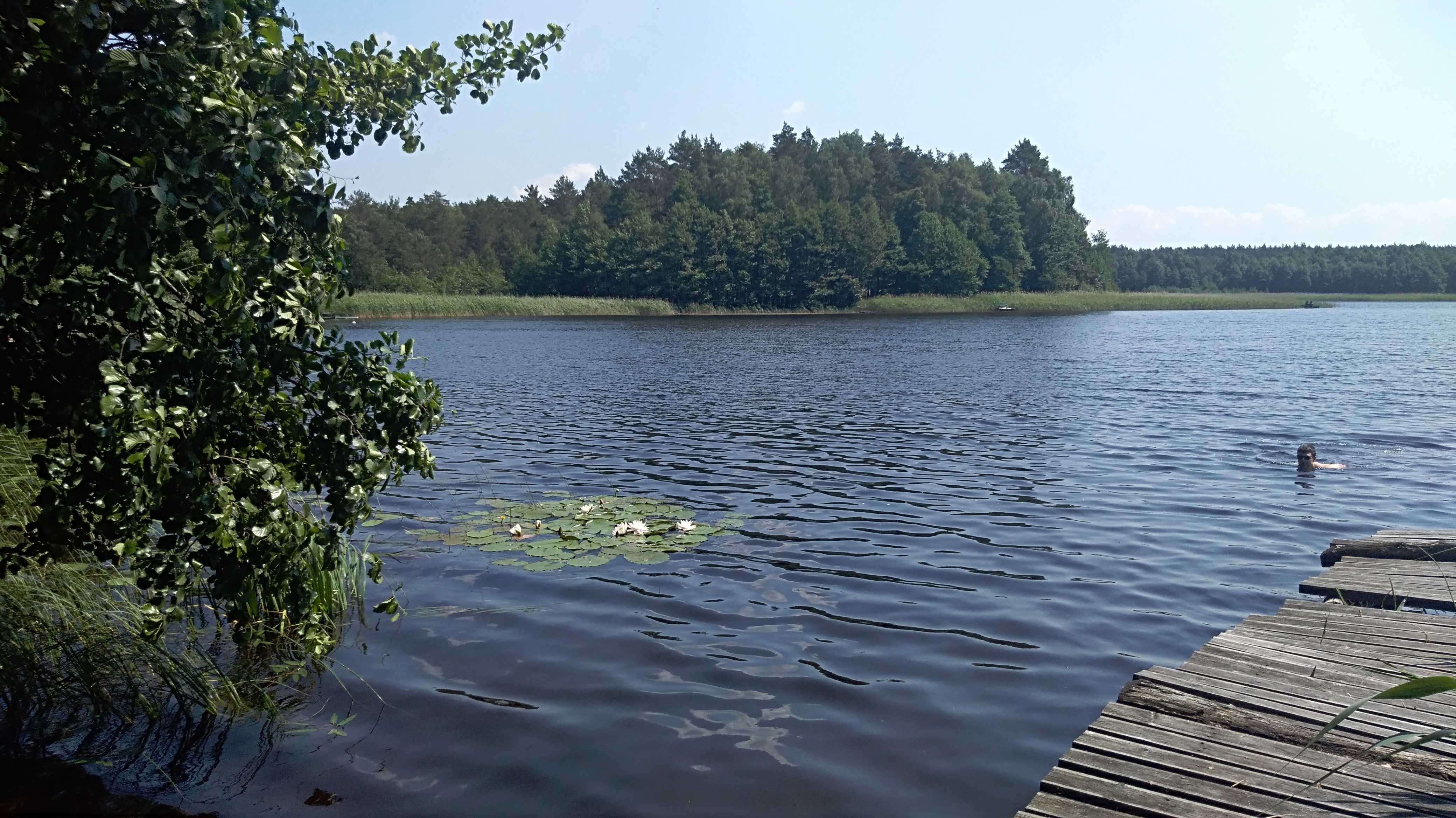 Noclegi Sokole gm. Człuchów  w pobliżu las, jezioro