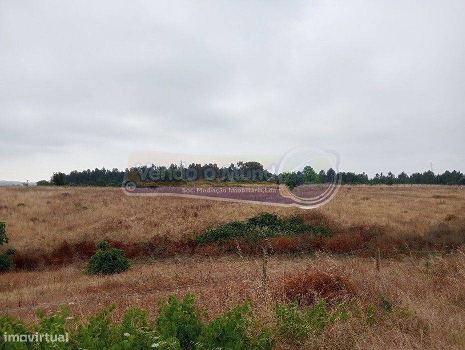 Terreno em Granho (G065)