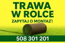 PROMOCJA 40 M2 Trawa w rolce, trawa z rolki, trawa, TRAWNIK POLSKI
