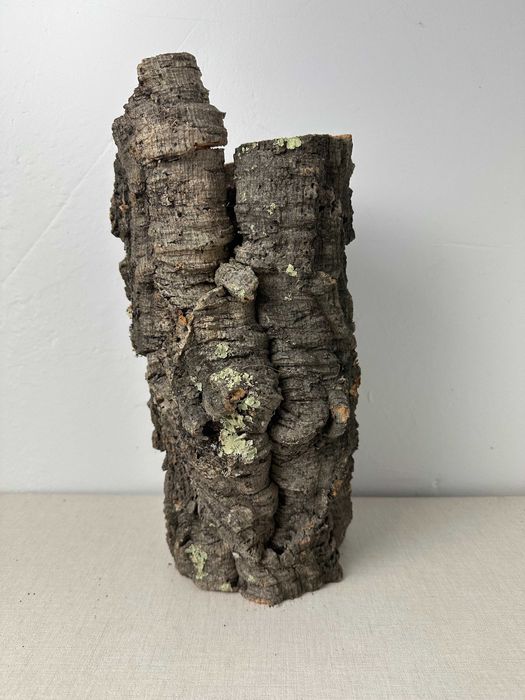 Tuba korkowa do terrarium nr4 ozdoba do terrarium gekon pająk agama