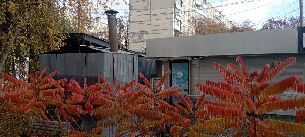 Аренда кафе с площадкой ул.Г.Труда 49.