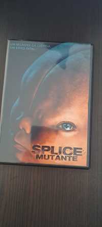 Splice- Mutante  - DVD