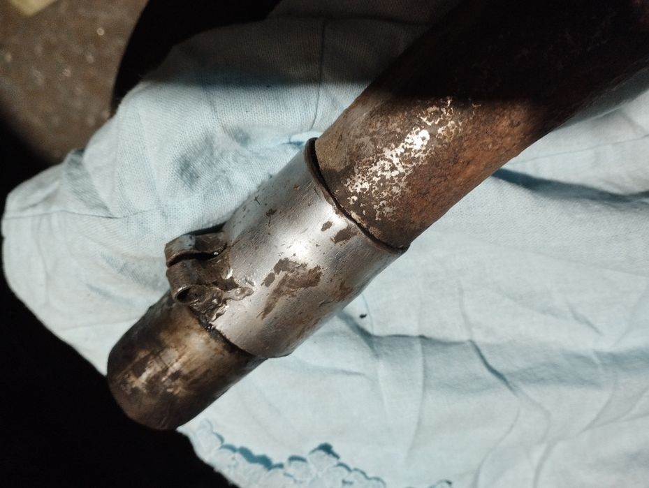 Панонія гайка глушника.