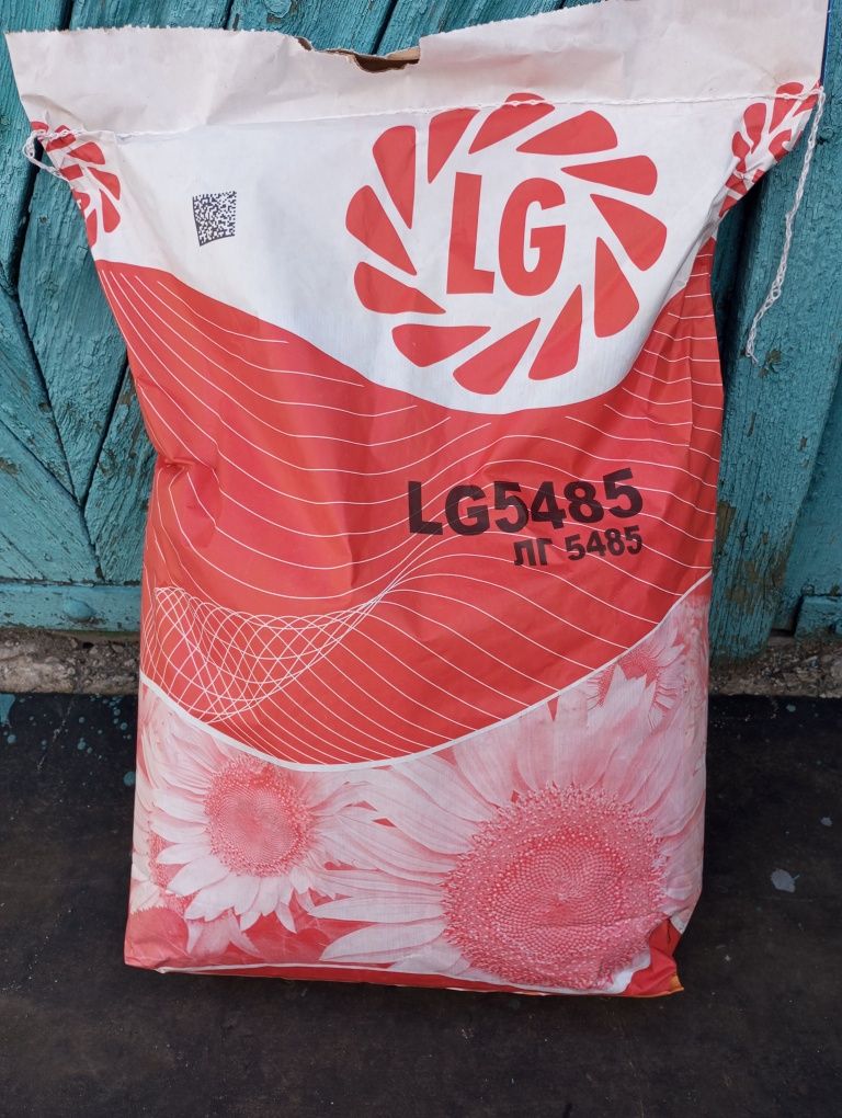 Продам насіння соняшнику LG 5485