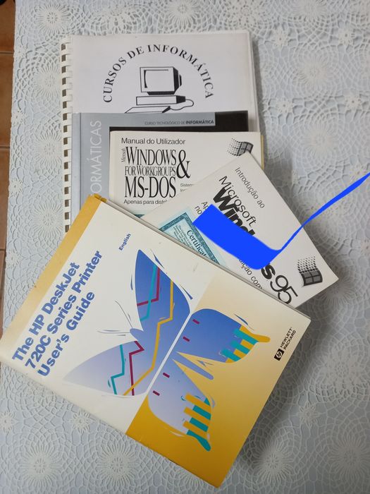 Lote livros informática