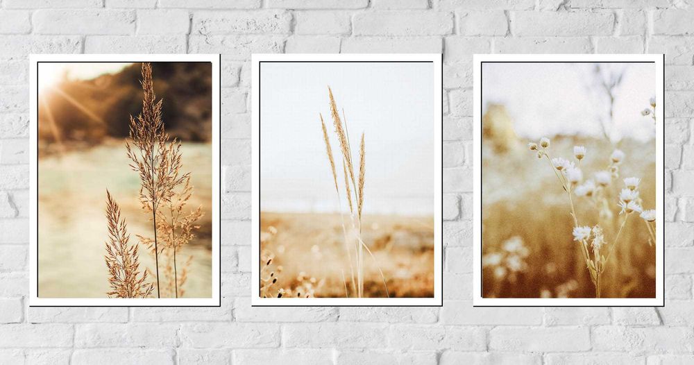 50x40 obrazy w ramie plakaty ramka TRAWA PAMPAS ŁĄKA NATURA BOHO