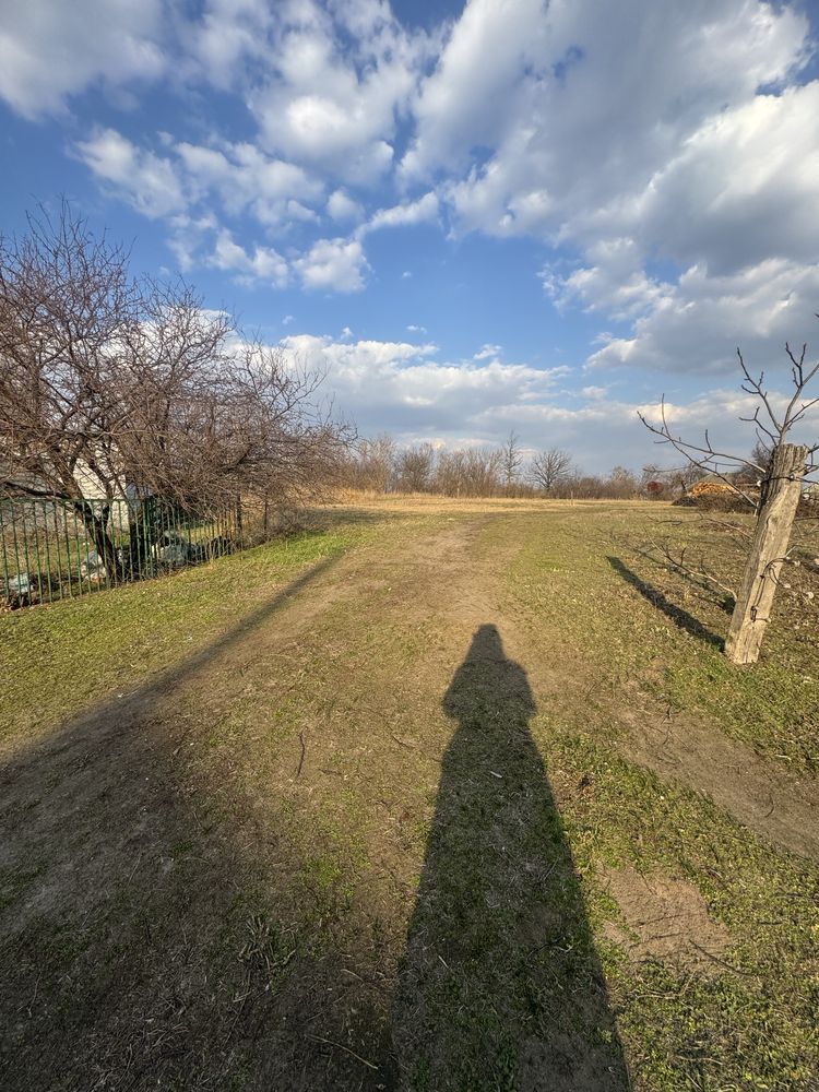Продам Земельный Участок 31 соток . ЦЕНТР С.Иванков, БОРИСПОЛЬ
