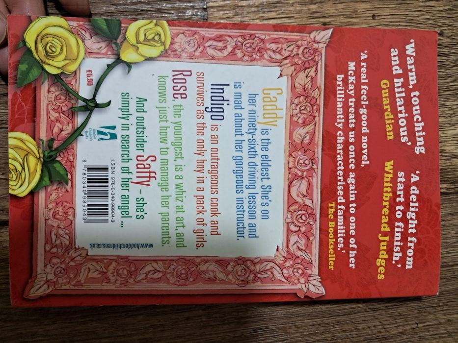 Хіларі Маккей "Янгол Софі", книга англійською для підлітків