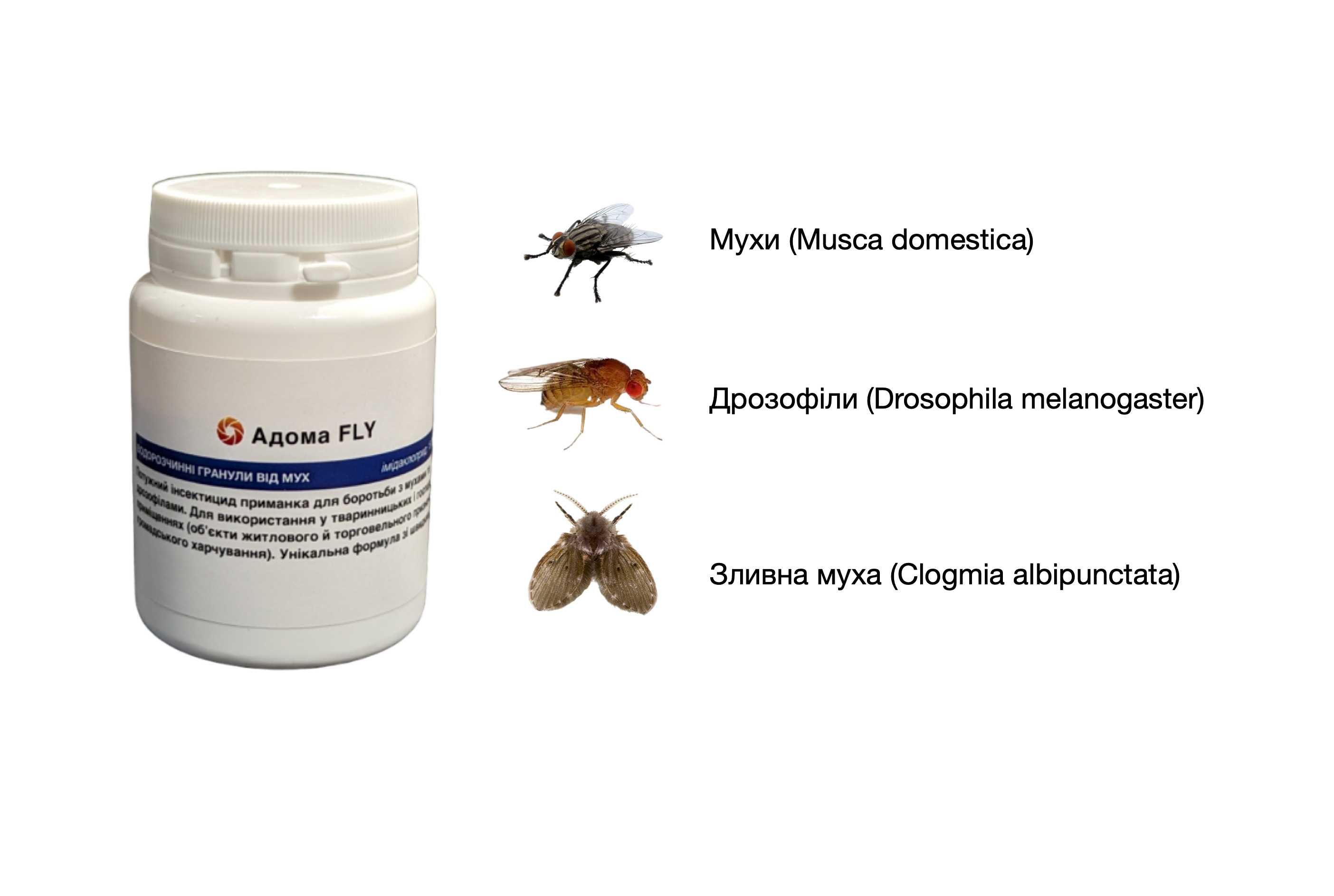 Засіб проти мух та дрозофілів Адома FLY (50 грам)
