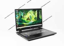 Acer Nitro 17 AN17-51 13th Core i7-13700H/16/512 Gb/ 17,3" 2K/RTX 4060