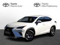 Lexus NX Lexus NX 300h Business Edition AWD, serwis ASO, salon PL, FV23%