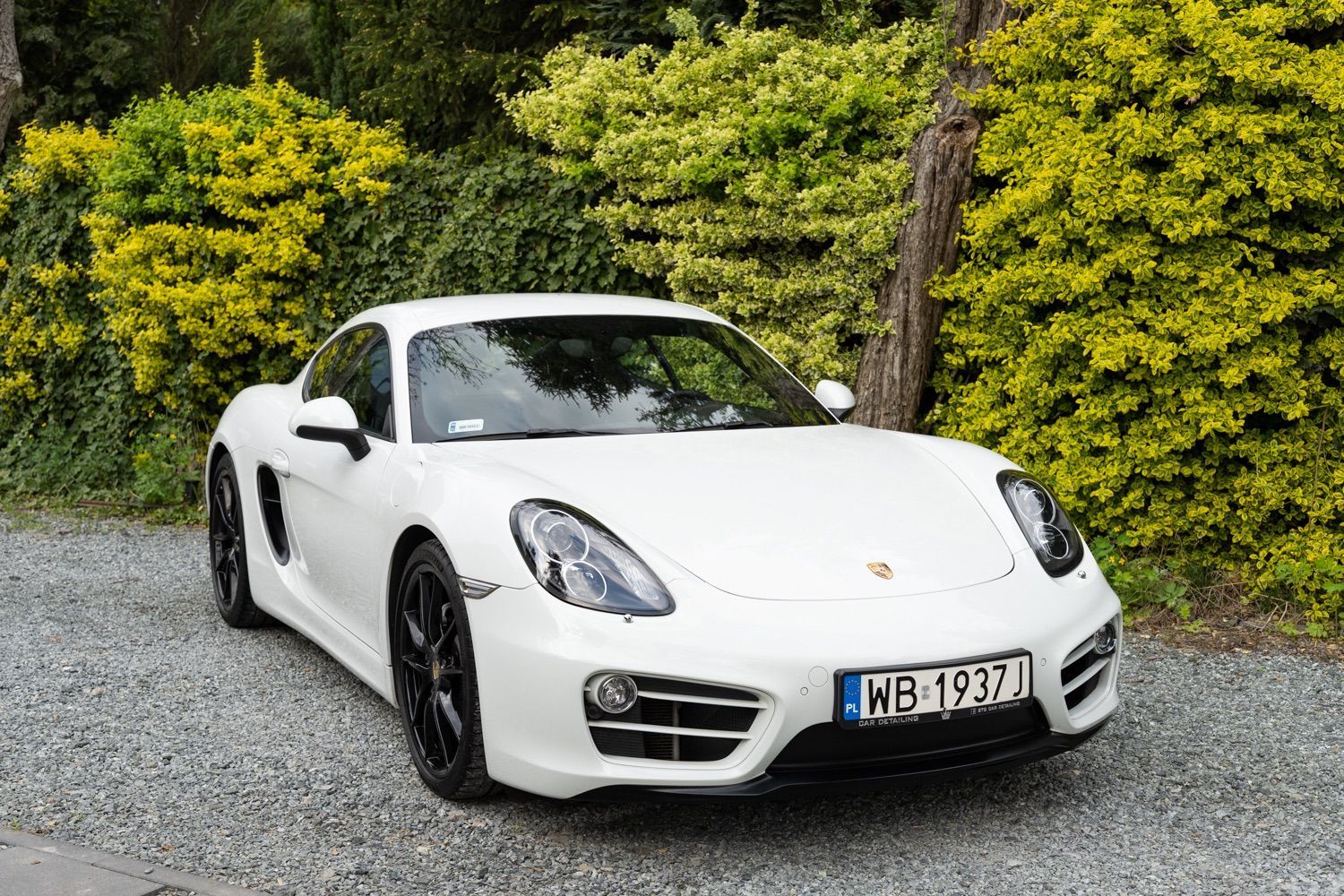 Porsche Cayman Cayman 981 - Polski salon