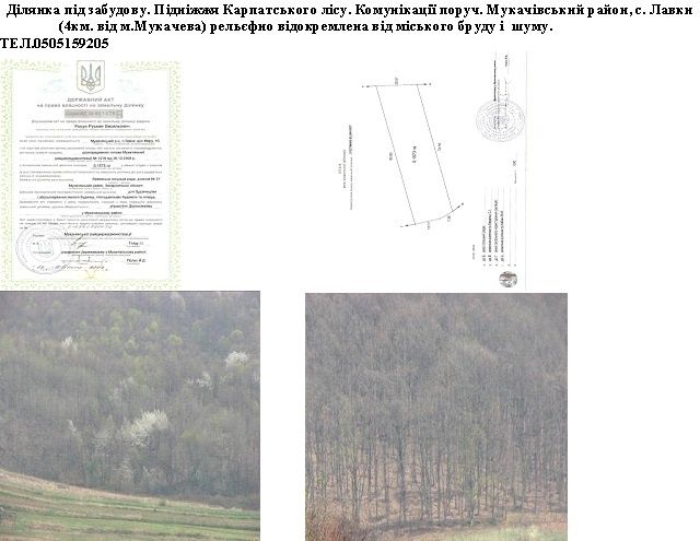 Участок на Закарпатье (Мукачевский район, с.Лавки)