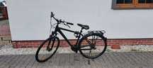 Rower Kellys Carter 50