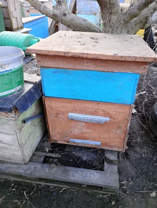 Продам вулики,пасіку