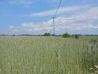 3500m2 5min od centrum kalisza