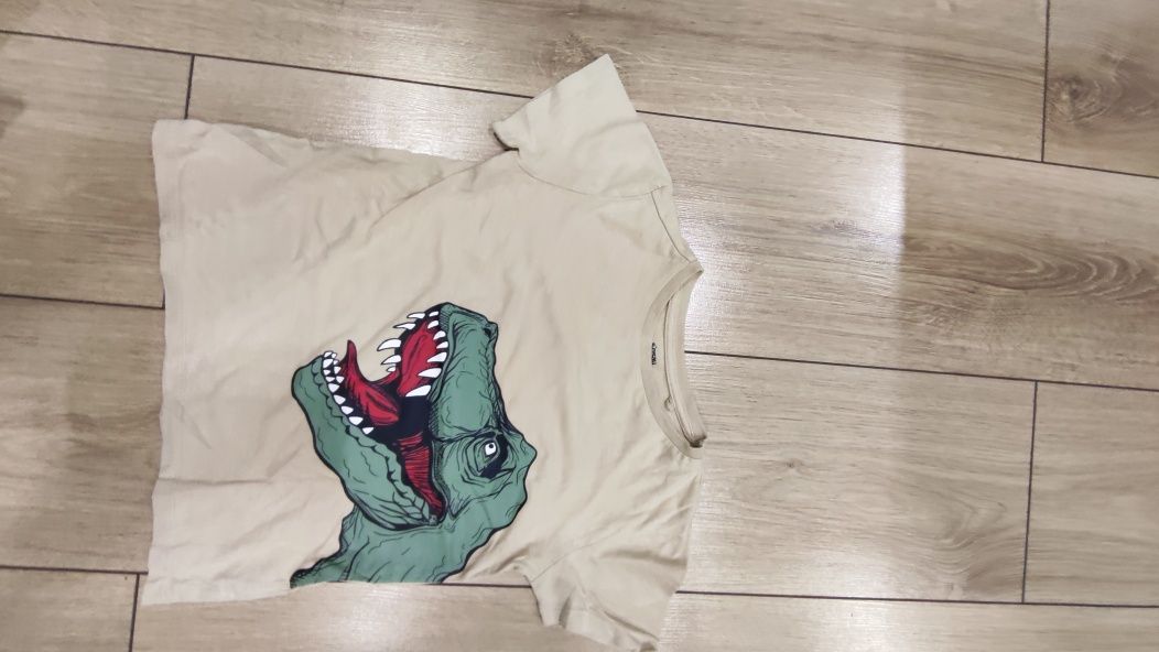 Zestaw dla fana dinozaurów rozmiar 110